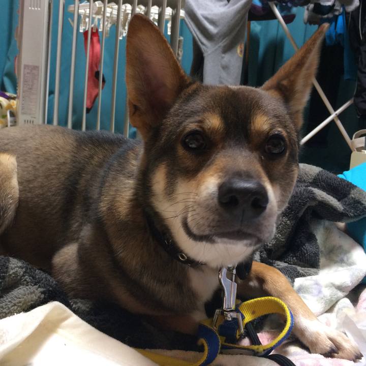 D2723604 9ede 4e8d 823d 5fee0f77ed37