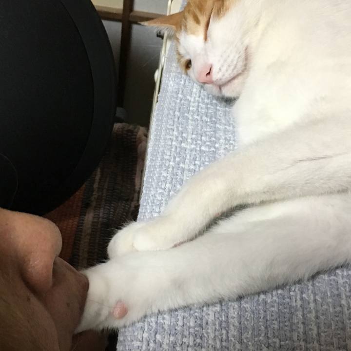 D2728cd0 da91 4293 ba89 b28580ed610f