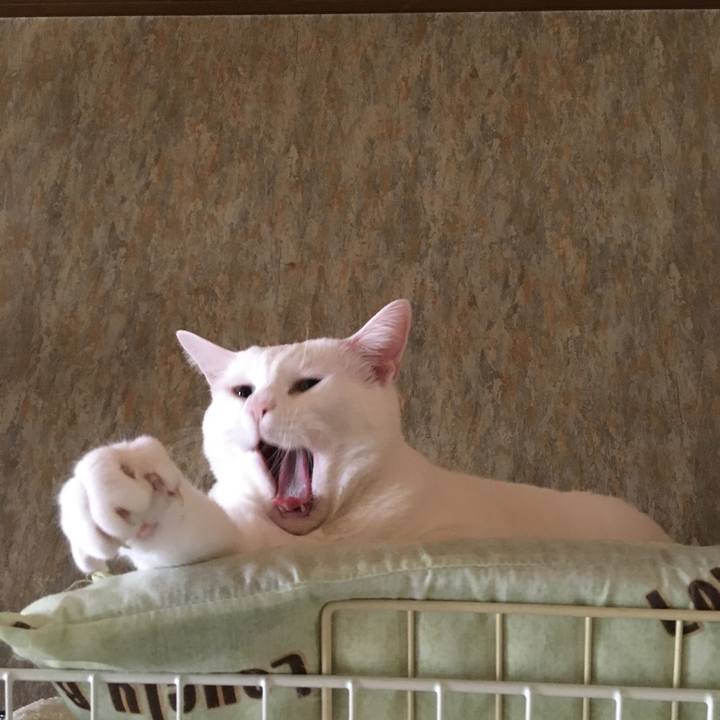 D2730703 2904 4bfd ae3f 73aeb4755fca