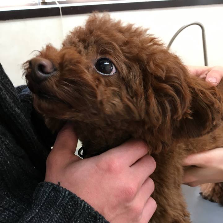 D273651b 9384 48fd a2cb be4aa0542632