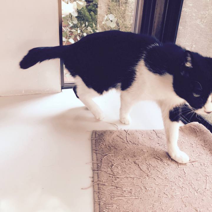 D273da7f fe25 4f58 bd92 a5f5bea1f6dd