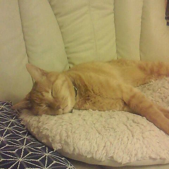 D274038d 8cc6 4975 8a33 3d122e578335