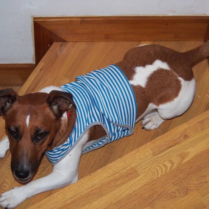 D2745c15 4eb9 4db7 ab2d 48e348ee7425