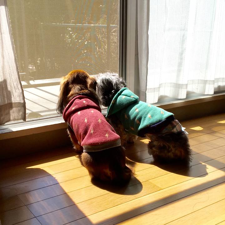 D2748489 c84f 41c2 9e80 1e5977028d1b