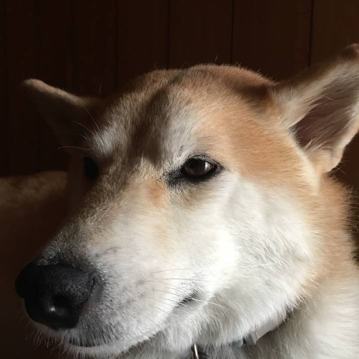 D2748a9f 4fe4 4ebd b8ac 33804ade4704