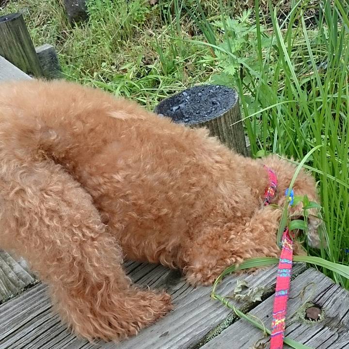 D275a15a 2d47 4eaa a20d f06fffcdb0ab