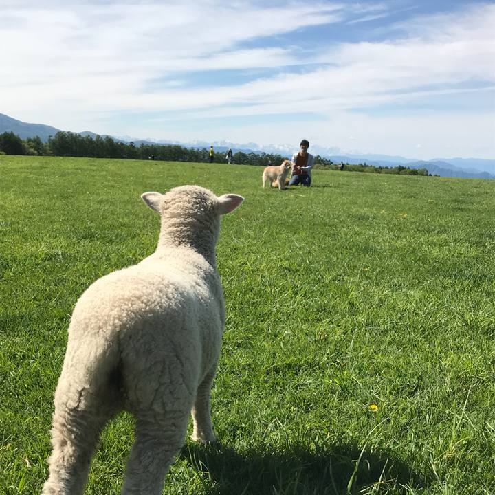 D275c158 0e8b 4428 8d5e 76ad51f371e1