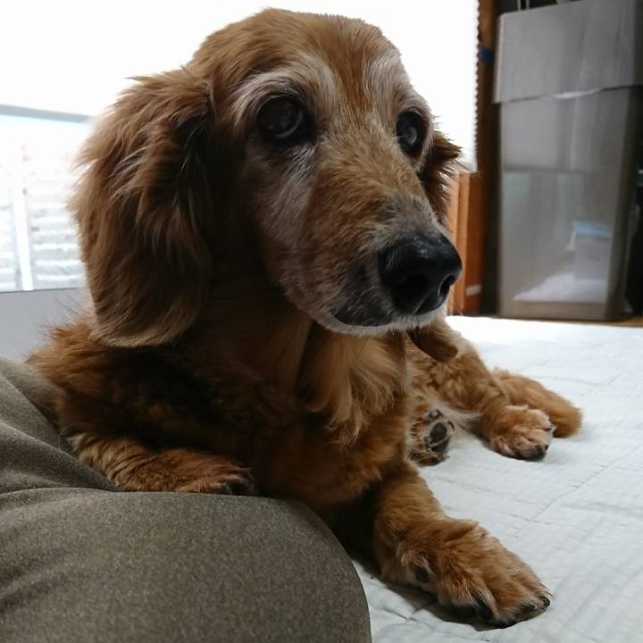 D276666c f0c9 44e1 835c 36b13db20fa6