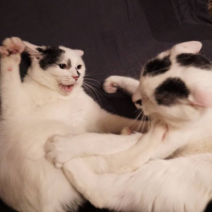 D27685bf 2296 4490 a3a9 5e93b15b93d4