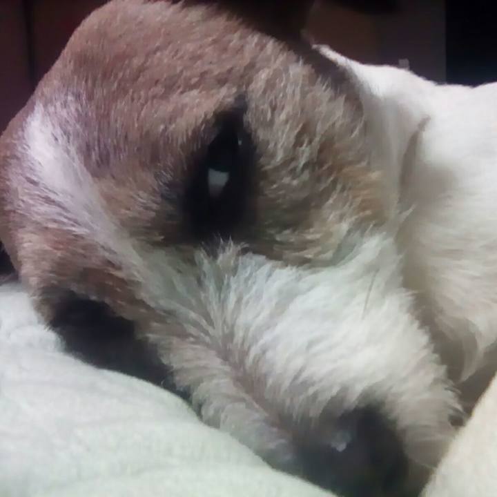 D276cd29 ed44 47f4 b9a6 defd07e0f9df