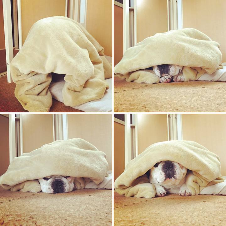 D2772cdf b441 4ae0 b7a6 150768fc0940