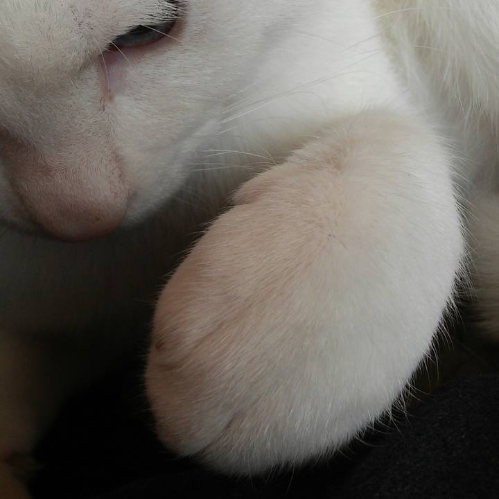 D2773cc8 3980 4cee a427 e0b10bfbc620