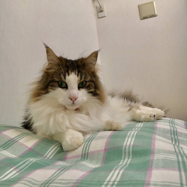 D277508f 9a26 491f bec3 073fe47ada53