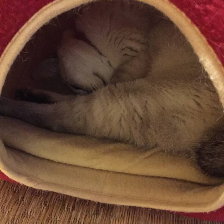 D278f00f 2bab 48af ac7a 5b38f7caf987