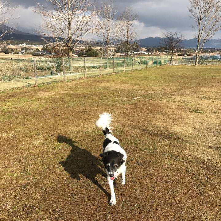 D278f716 7fb3 43ad a420 2b80cf792927