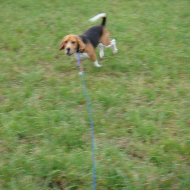 D2792e7d c495 4bc1 b89b c714f4d0c85c