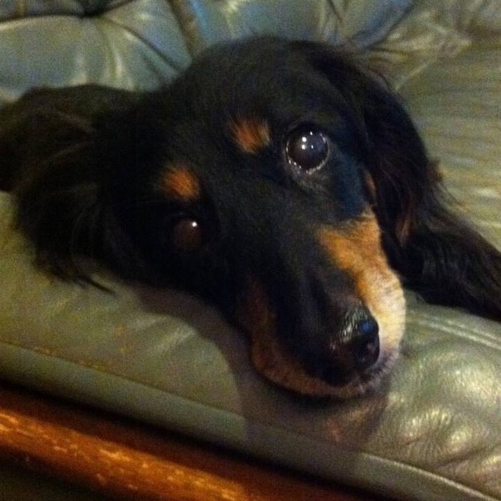 D2794cbb 7520 4213 a04e 419e642bc120