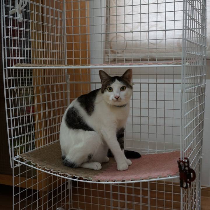 D279984d 450b 41f3 956b 0bb22800b181