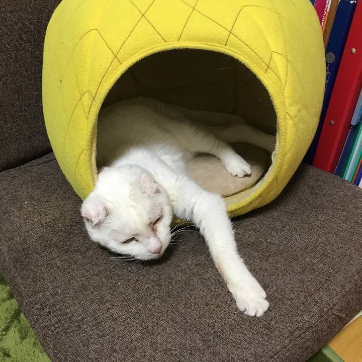 D279c62f bb6f 44a3 89f9 30f2de38b73f