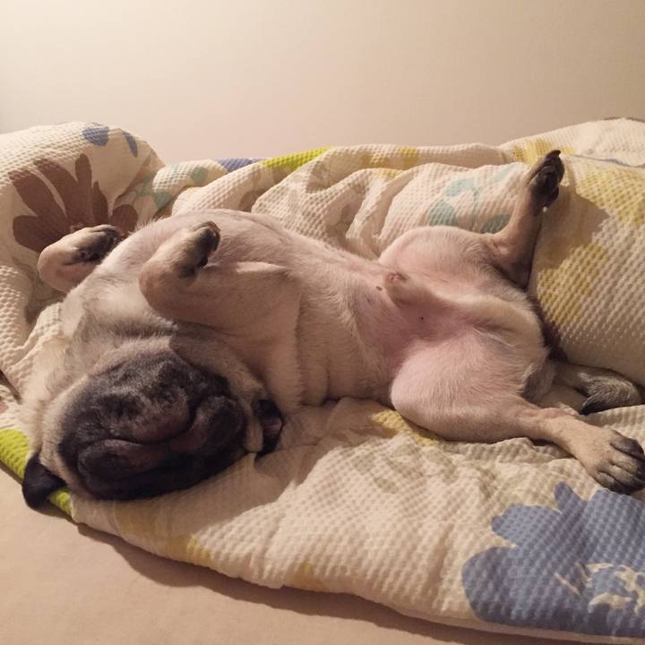 D279f542 a704 4191 aa09 2f64bc82bc3f