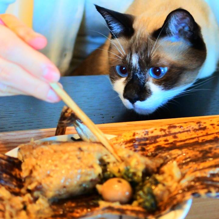 D27a04e7 59f1 43eb a0af ad9e443be3f6