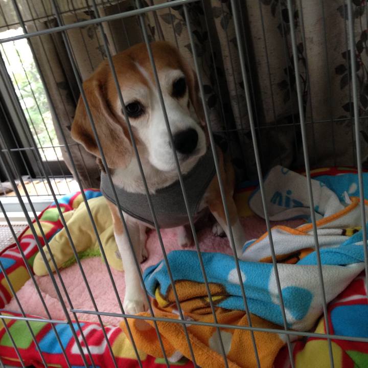 D27a5f3b 1fa4 4eee 890c 623688c3cd55