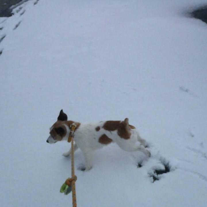 D27b3f67 a5d7 4d83 bac6 060b89376843