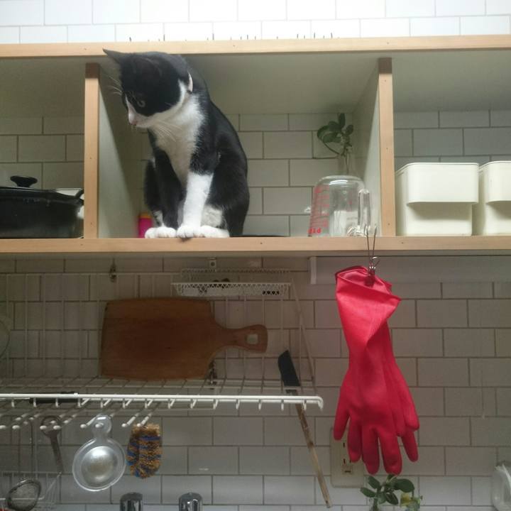 D27bc139 3377 4761 a8b6 8d1e288059fd