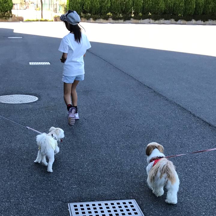 D27bf774 6685 4a19 9676 63250c710be2