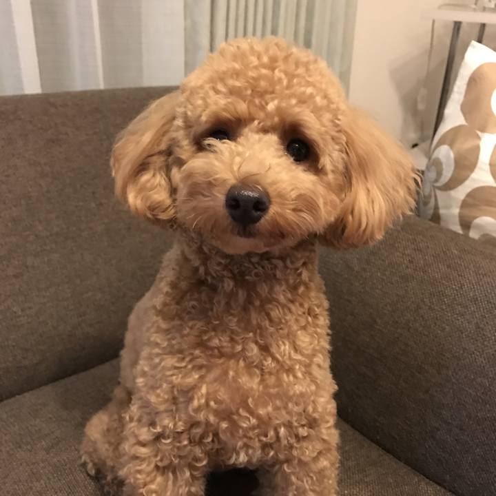 D27c1b16 5ee4 4d55 9c4f ffd2e8560e9c