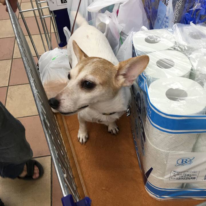 D27d9d2d 232e 46c8 9ea6 56f1ce9cab36