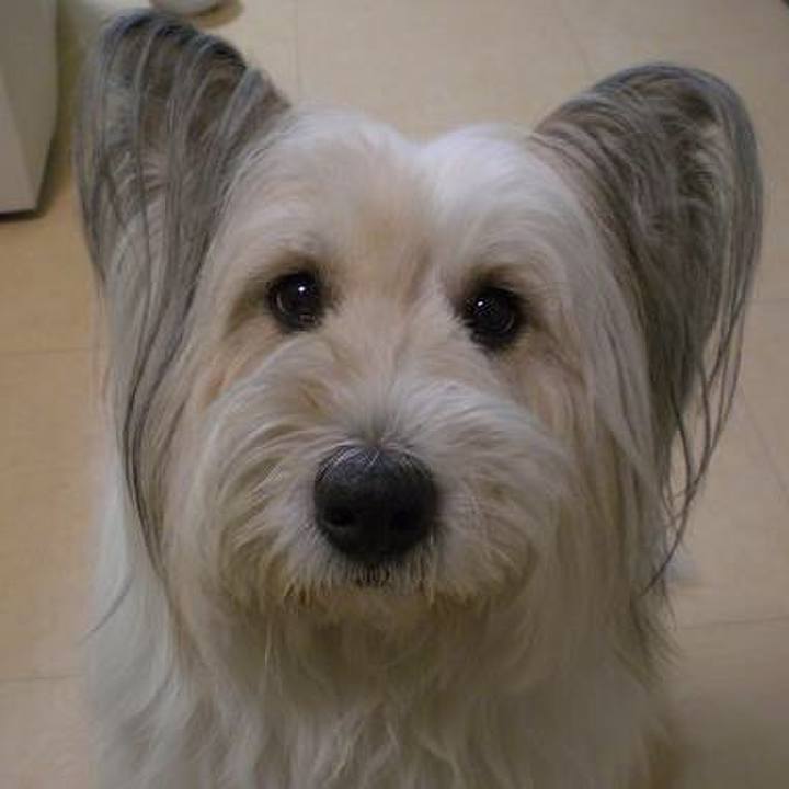 D27df939 d5a1 4fad ac7a 4d20d421ceec