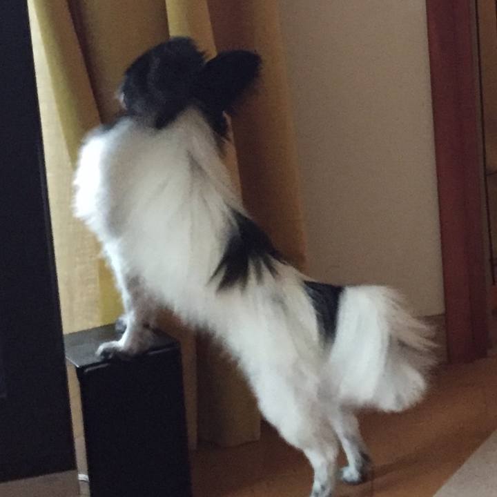 D27e1d84 6c0b 4597 b12a 5113bbea04c6