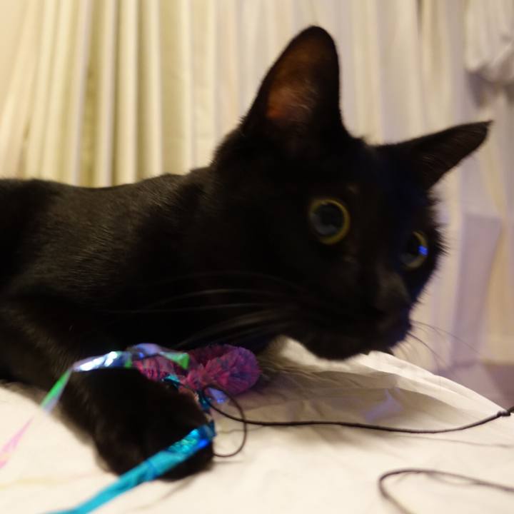 D27e839b f62a 4d3b 99c6 8104b8d30ee6