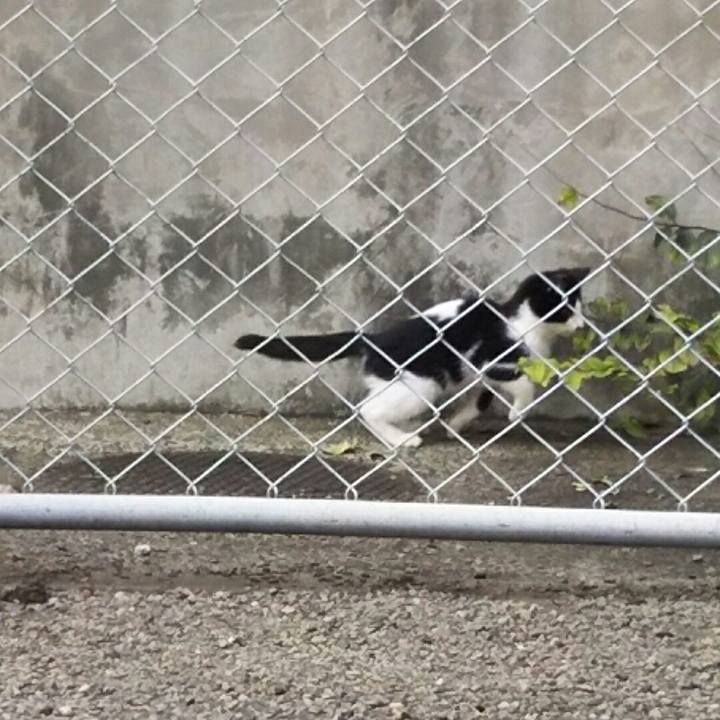 D27fc14c c0c1 4840 a2b0 f55a24b87082