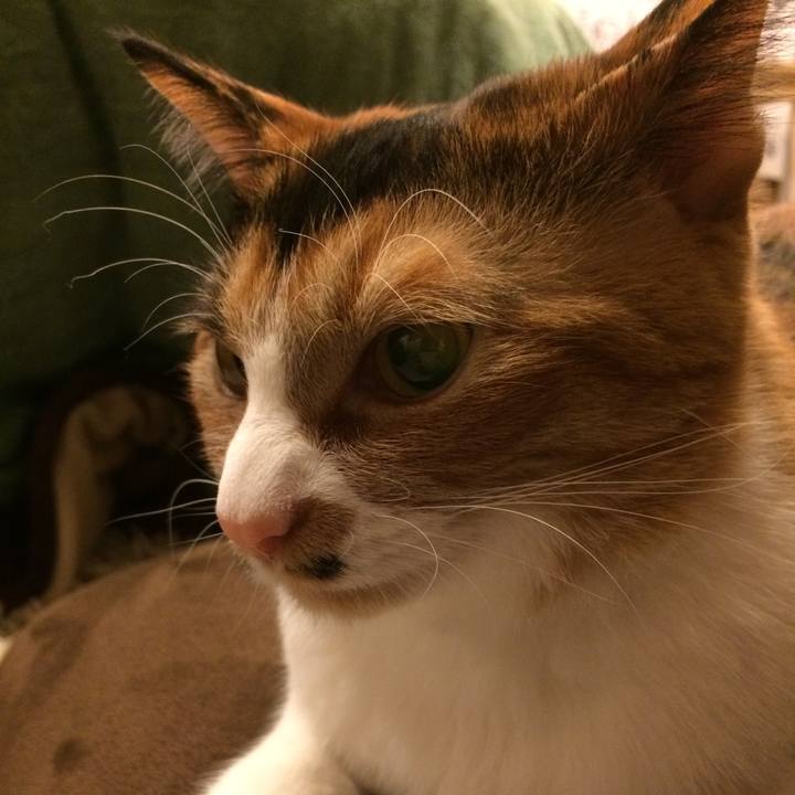 D2807539 17a4 4635 a8fb 3f3781a389bf