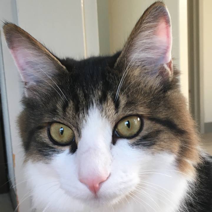 D2808bdf b5ae 430b b61e a9ad9adc4e83