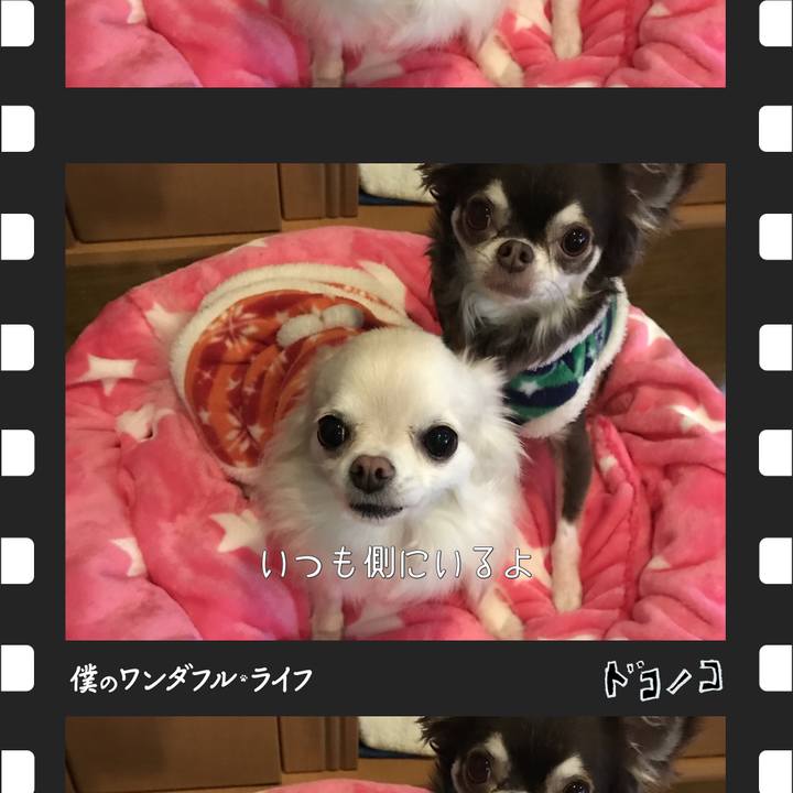 D28131da 656a 4347 86e2 e568d2aeaecc