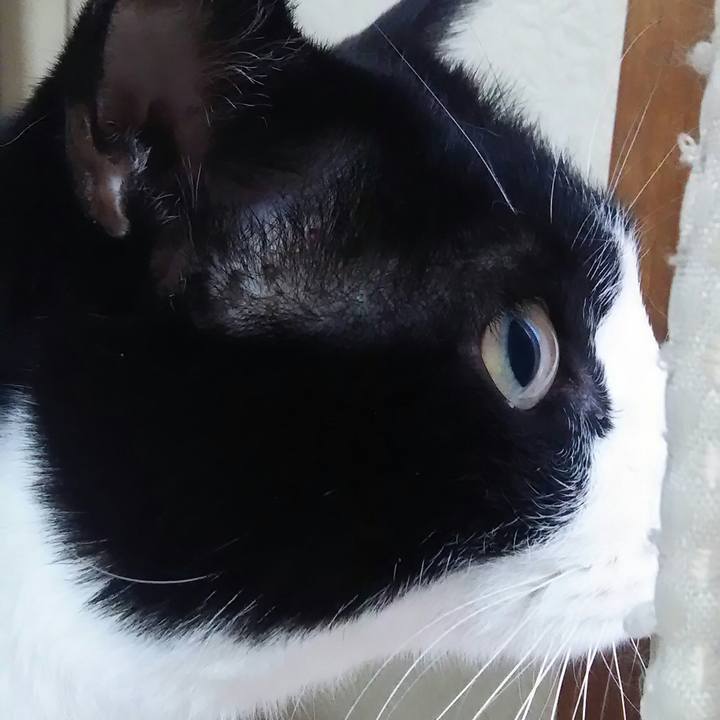 D2824190 f03d 425d b163 3946e23f882c