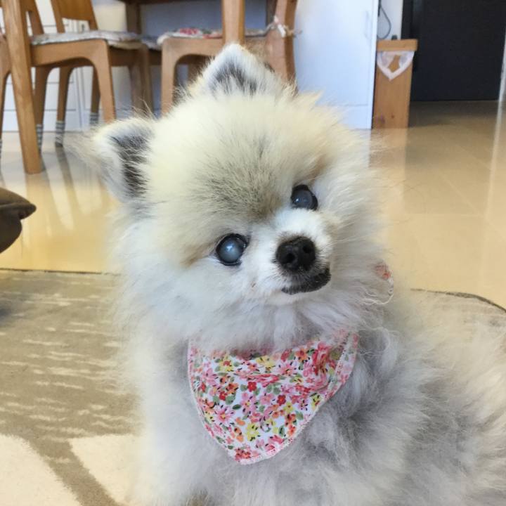 D282838b 8e85 4924 9f77 83dddc47c413