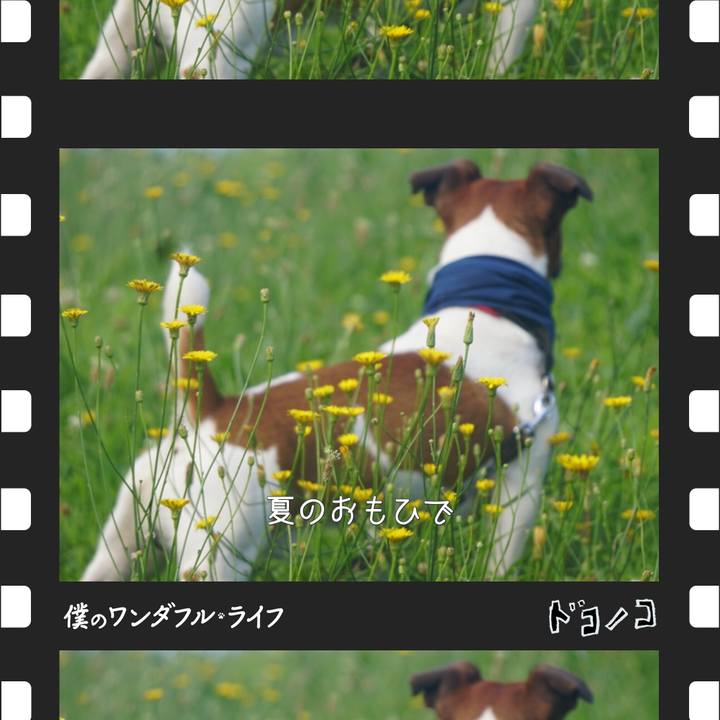 D282ba7b bac7 4f65 ba5f e15add4023e8