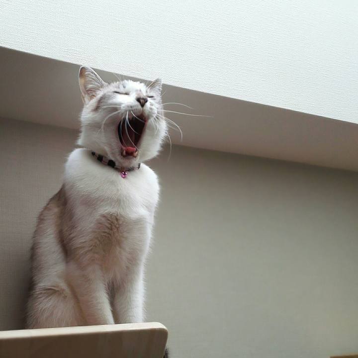 D2835fc3 2a70 49d4 94c0 240a01662360