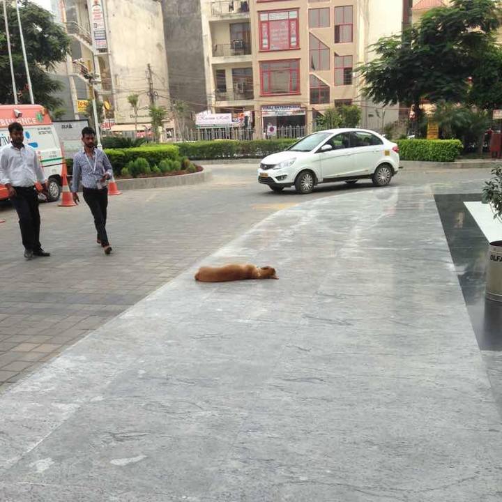 D2836f58 fae5 4da7 bfd6 a45732b0fa39