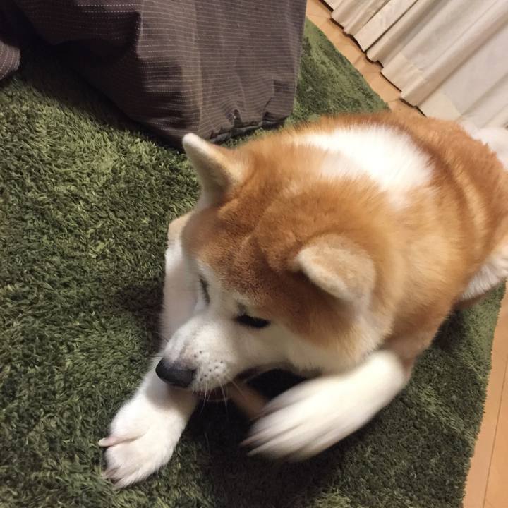 D283d04f b556 4153 a55e f6a577ef32b0