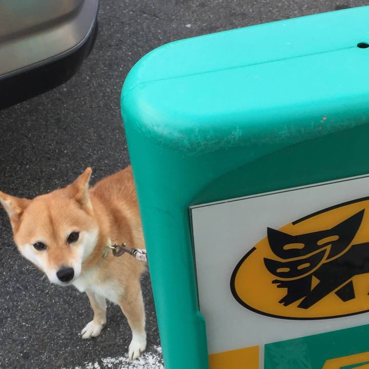 D283e404 64b3 432b b1ba 8dc6fcf804d8