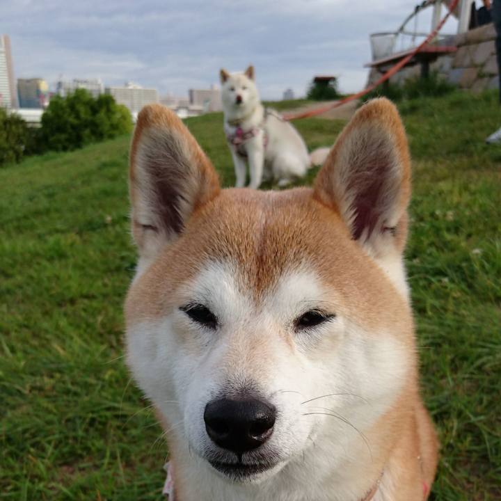 D284739d 7f1b 4f3e a551 2fd29e30765f