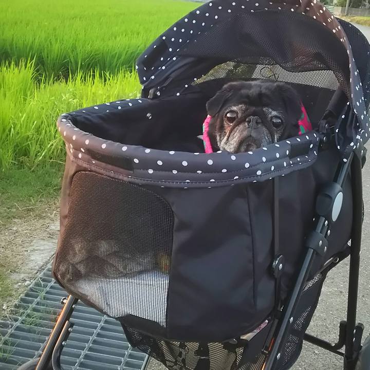 D284c4e2 577c 4768 8399 a8dcb6809b2a