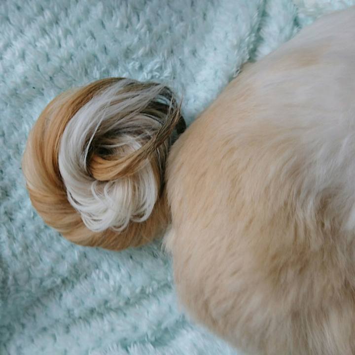 D2855a90 87bc 4989 97a4 c7536fbf1515