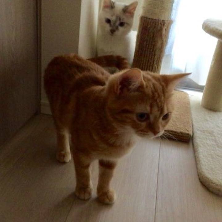 D2860fe5 dea7 4969 8874 17af6f70dcad