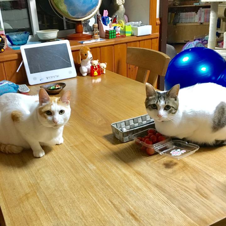 D2861edb c789 4ada 9c56 65a861e18eed